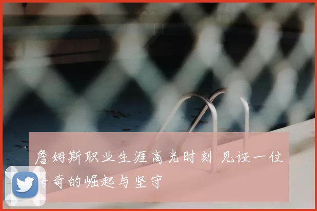 詹姆斯职业生涯高光时刻 见证一位传奇的崛起与坚守