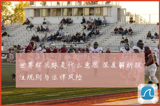 世界杯买球是什么意思 深度解析投注规则与法律风险