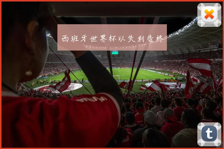 西班牙世界杯以失利告终