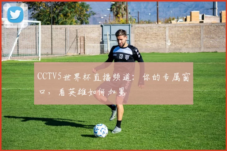 CCTV5世界杯直播频道:你的专属窗口,看英雄如何加冕
