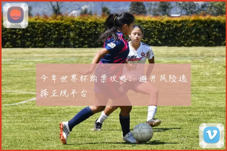 今年世界杯购票攻略:避开风险选择正规平台