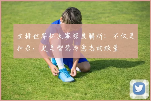 女排世界杯决赛深度解析:不仅是扣杀,更是智慧与意志的较量