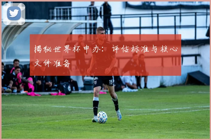 揭秘世界杯申办：评估标准与核心文件准备