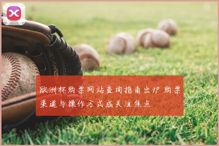 欧洲杯购票网站查询指南出炉 购票渠道与操作方式成关注焦点