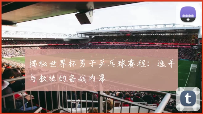 揭秘世界杯男子乒乓球赛程：选手与教练的备战内幕