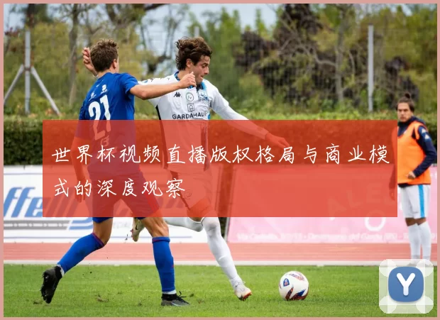 世界杯视频直播版权格局与商业模式的深度观察