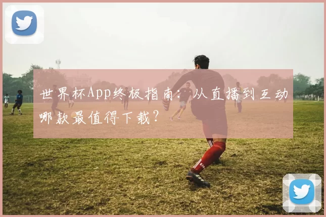 世界杯App终极指南:从直播到互动哪款最值得下载?