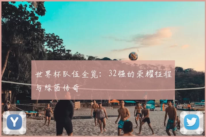 世界杯队伍全览:32强的荣耀征程与绿茵传奇