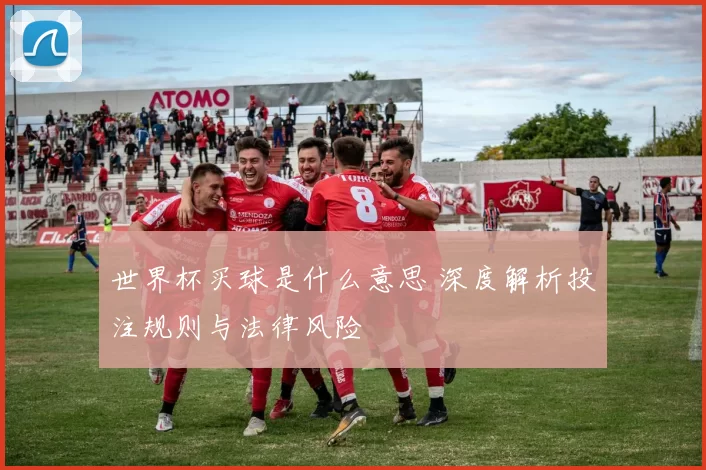世界杯买球是什么意思 深度解析投注规则与法律风险