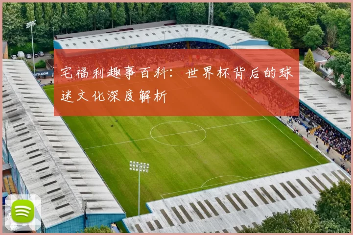 宅福利趣事百科：世界杯背后的球迷文化深度解析