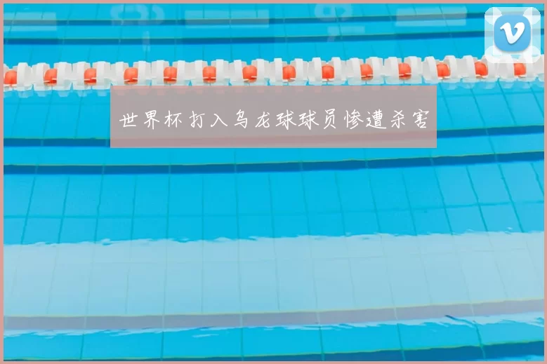 世界杯打入乌龙球球员惨遭杀害