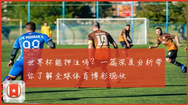 世界杯能押注吗？一篇深度分析带你了解全球体育博彩现状