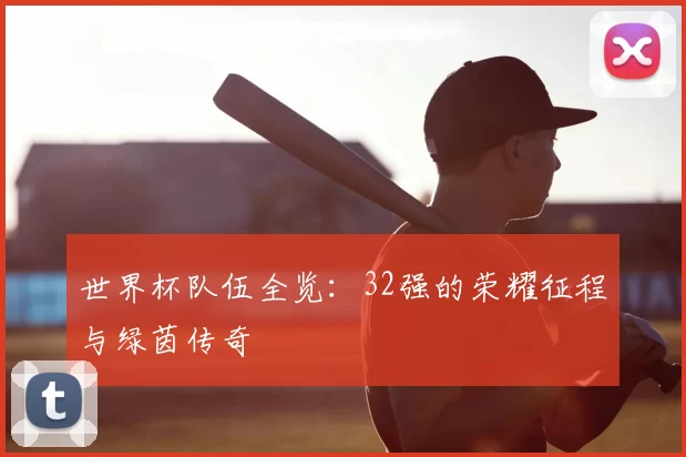 世界杯队伍全览:32强的荣耀征程与绿茵传奇